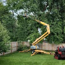 Best Tree Maintenance Programs  in Williamsburg, PA